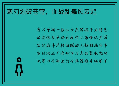 寒刃划破苍穹，血战乱舞风云起